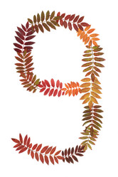 Similar image 138803