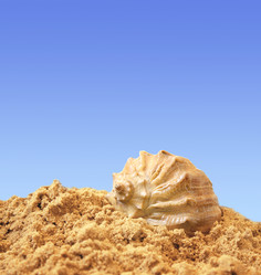 Similar image 138850