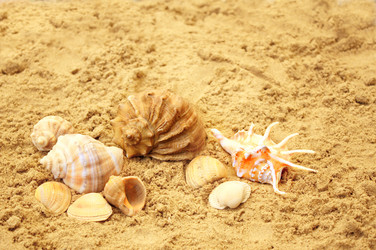 Similar image 138851