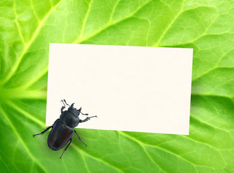 Similar image 138853