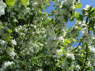 Similar image 138866