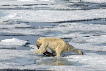 Similar image 138879