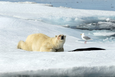 Similar image 138881