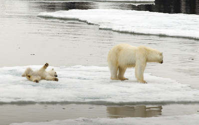 Similar image 138891