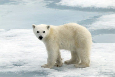 Similar image 138893