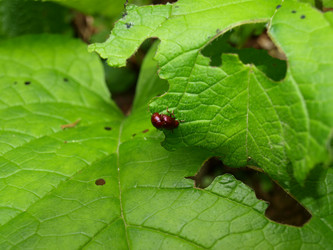 Similar image 138901