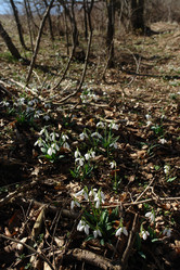 Similar image 138936