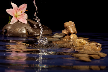 Similar image 138941