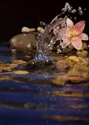 Similar image 138942