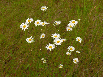 Similar image 138948