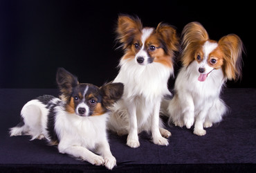 Similar image 138952