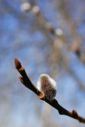 Similar image 138956