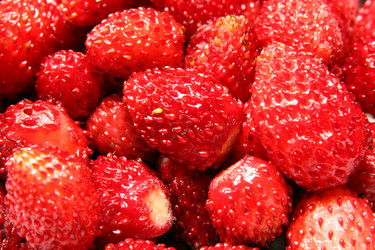 Similar image 138993