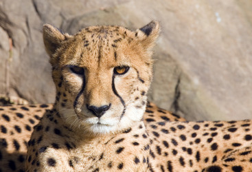 Similar image 139028