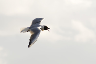 Similar image 139034