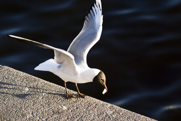 Similar image 139037