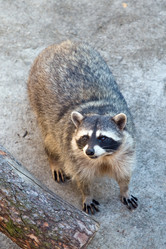 Similar image 139045