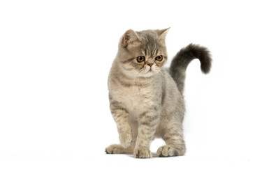 Similar image 139047