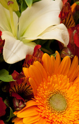 Similar image 139056