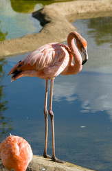 Similar image 139058