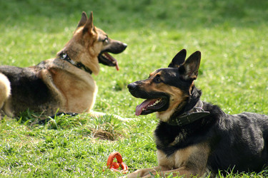 Similar image 139060