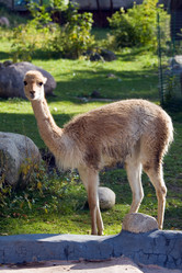 Similar image 139061