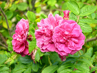 Similar image 139074