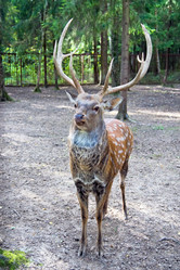 Similar image 139078