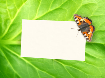 Similar image 139108