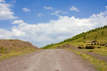 Similar image 139131