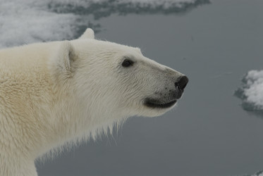 Similar image 139157