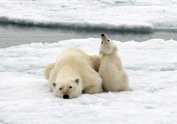 Similar image 139158