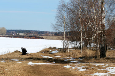 Similar image 139164