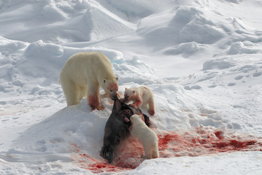 Similar image 139165