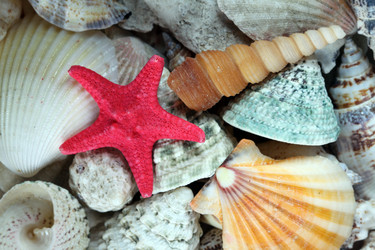 Similar image 139171