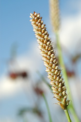 Similar image 139179