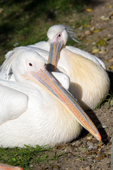 Similar image 139211