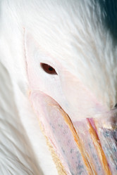 Similar image 139215