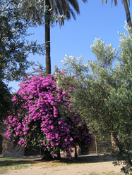 Similar image 139218