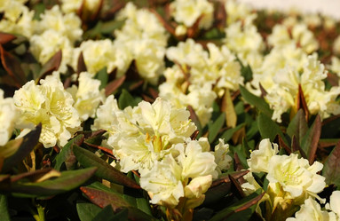 Similar image 139228