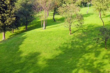 Similar image 139234