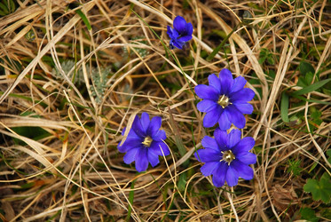 Similar image 139236