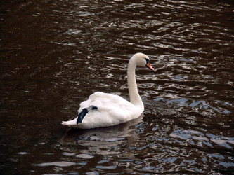 Similar image 139237