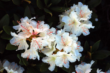 Similar image 139238