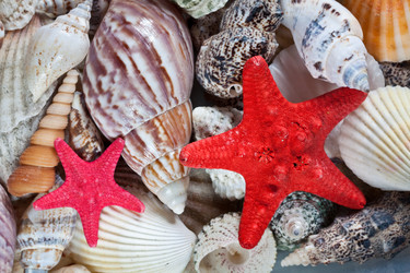 Similar image 139252