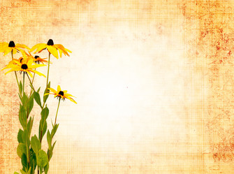 Similar image 139262