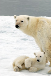 Similar image 139274