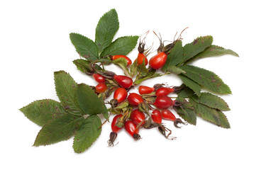 Similar image 139283