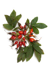 Similar image 139290