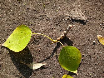 Similar image 139293